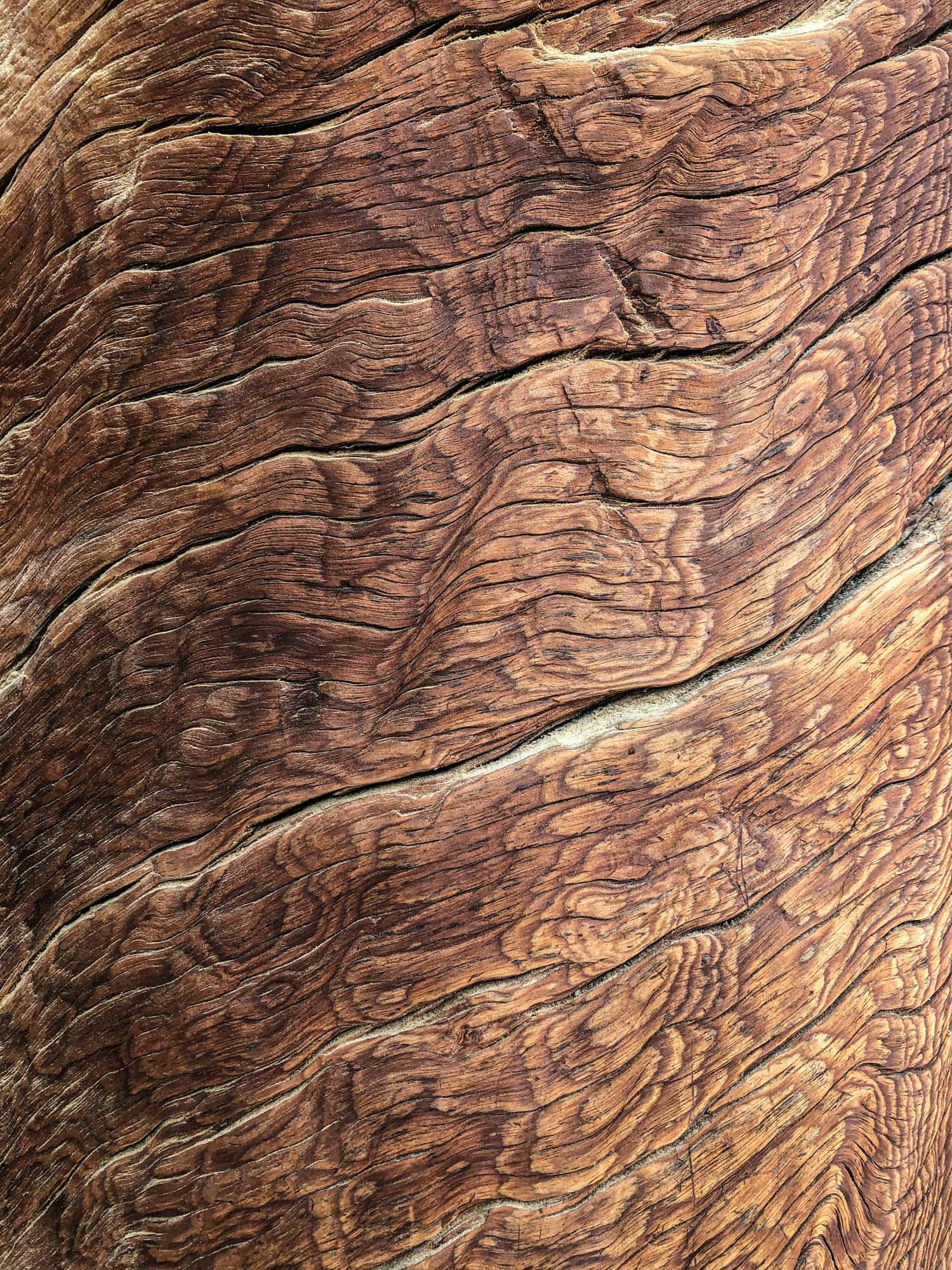 Weathered wood grain shaped by years of Lāna'i sun and trade wind